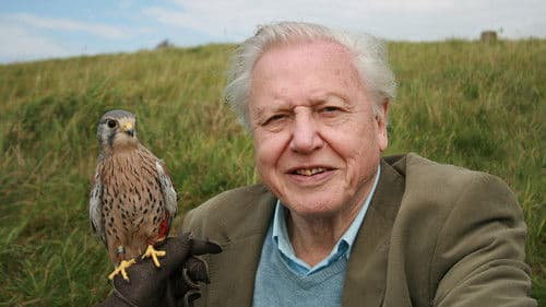 Attenborough: 60 Years in the Wild Bild 3