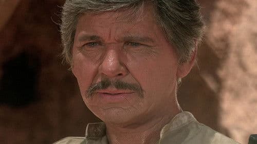 Der Liquidator Bild 4