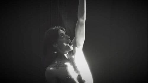 Experimentação Nº 01: Como Você Vive Bild 1