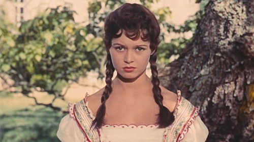 Dunkelroter Venusstern Bild 2