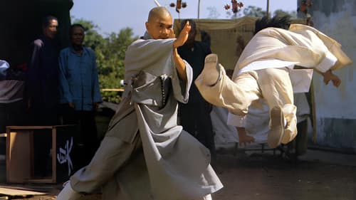 佛掌羅漢拳 Bild 1