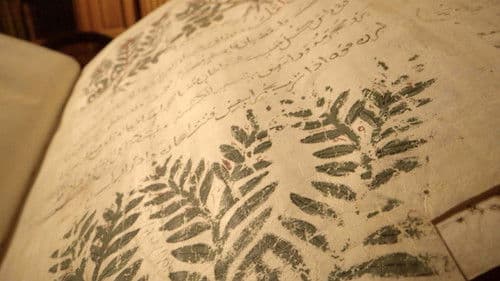 Das vergessene Erbe der arabischen Heilkunst Bild 6