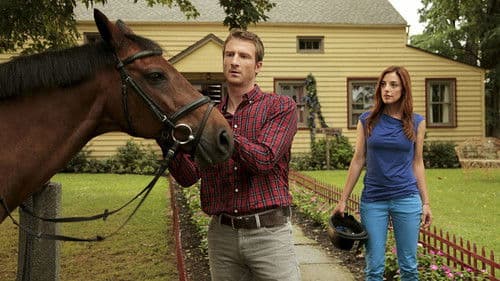 Katie Fforde - Sprung ins Glück Bild 1