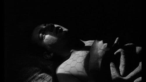 Die Sprache der Gewalt Bild 8