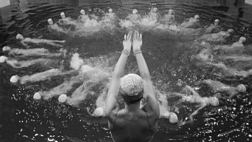 Parade im Rampenlicht Bild 8