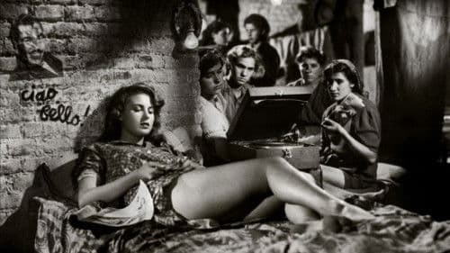 Bitterer Reis Bild 3