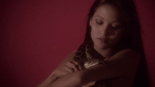 Porno Esotic Love Bild 7