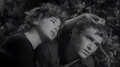 La strada lunga un anno Bild 1