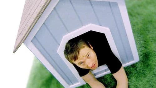 Doggie Heaven Bild 1