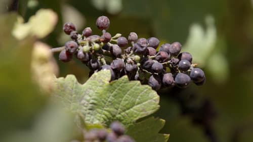 The Two Eighty Project Bild 3