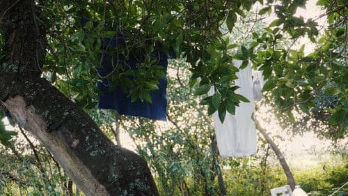 Almas Deslocadas Bild 1