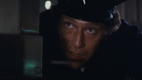 Vier schräge Vögel Bild 6