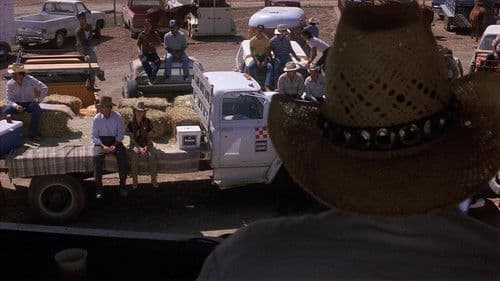 Die zweite Wahl - Eine Romanze Bild 2