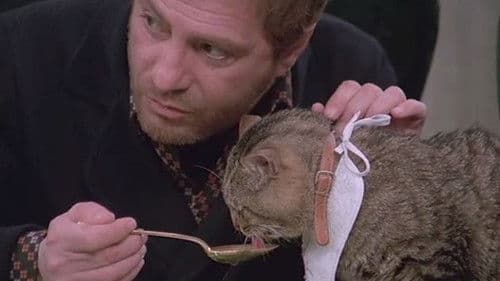 Attenti al buffone Bild 1