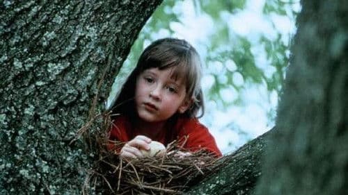 Das Kartenhaus Bild 2