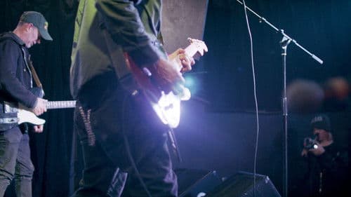 Common American Crow Bild 2