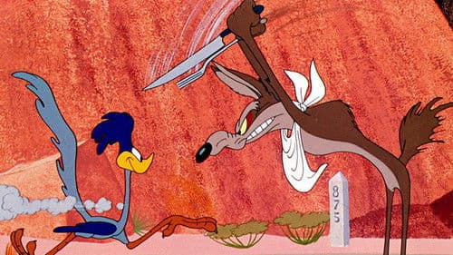 Kein Mittagessen für Kojote Bild 1