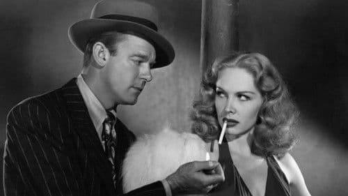 Geheimagent T Bild 4