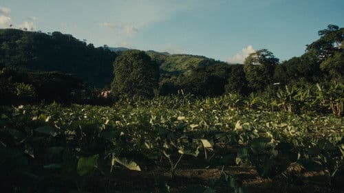 ¿Estás Despierta? Bild 4