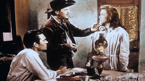 Zweikampf bei Sonnenuntergang Bild 5