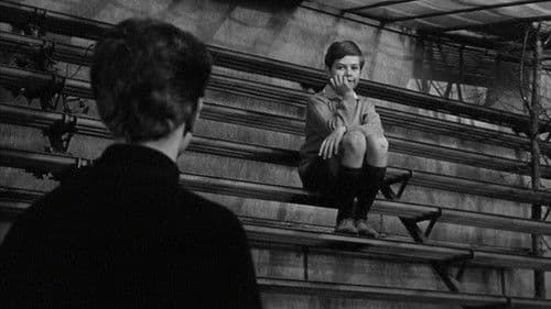 Heimliche Freundschaften Bild 4