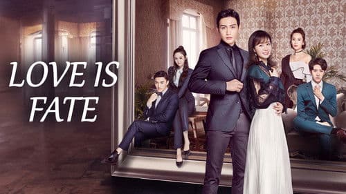 我爱你，这是最好的安排 Bild 4