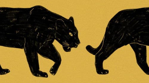 Lowndes County and the Road to Black Power Bild 4