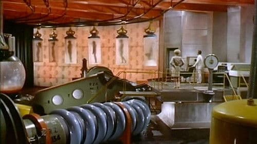 Unser Mann in Rio Bild 4