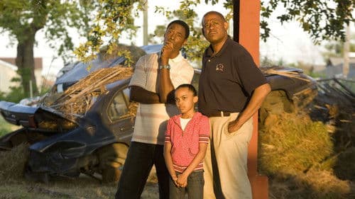 Stürmische Zeiten - Gib niemals auf Bild 2