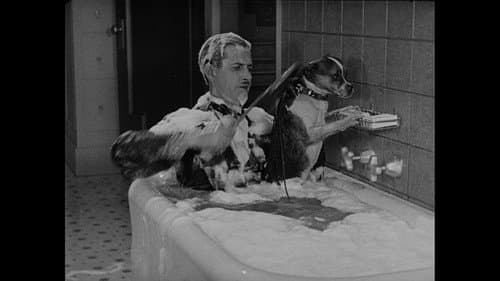 Wonder Dogs! Canine Stars of the Silent Era (1898-1928) Bild 8