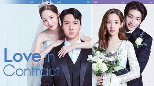 월수금화목토 Bild 6