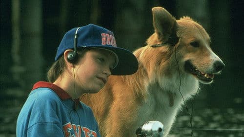 Bingo - Kuck mal wer da bellt Bild 1