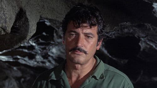 Das Wespennest Bild 4