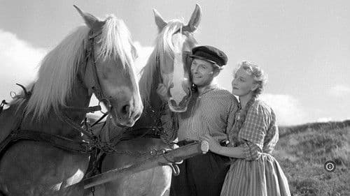 Husmandstøsen Bild 1