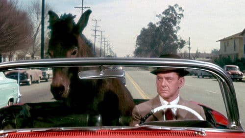 Mein Zimmer wird zum Harem Bild 6