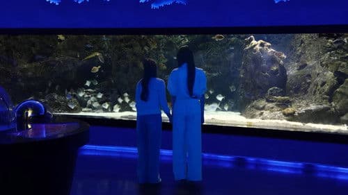 ขนมปังชีสเนย Bild 3