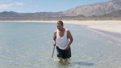 Una corriente salvaje Bild 4