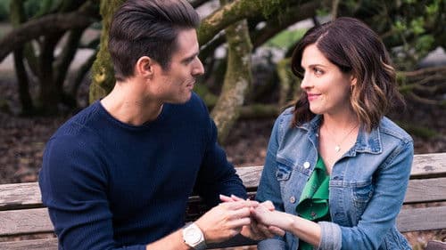 Aller guten Dinge sind drei! Bild 3