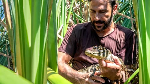 Primal Survivor: Over the Andes Bild 5