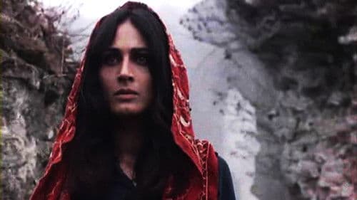 چریکه‌ی تارا Bild 1