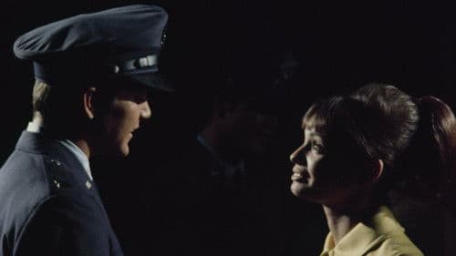 Gidget Grows Up Bild 5