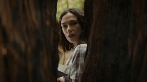 Into the Thicket Bild 2