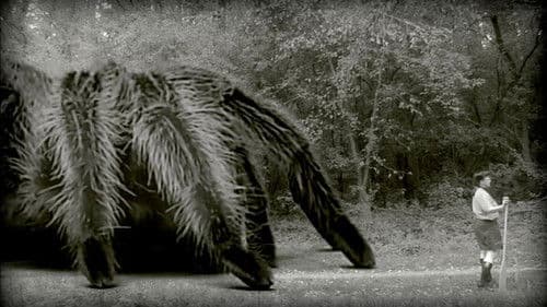 The Giant Spider Bild 1