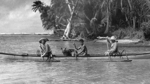 Matisse - Auf der Suche nach dem Licht Bild 2