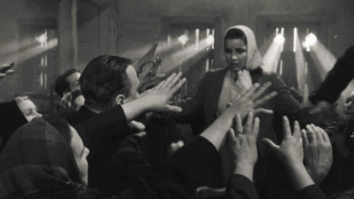 Die Steinblume Bild 6