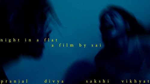 NIGHT IN A FLAT Bild 2