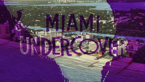 Miami Undercover Bild 2