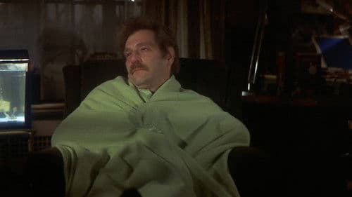 Die Eule und das Kätzchen Bild 8