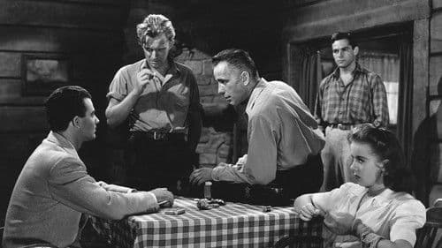 Entscheidung in der Sierra Bild 3