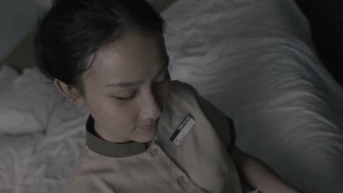 โปรดเรียกใช้ Bild 2